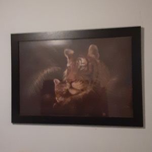 Beautiful Tiger Mother and cub picture